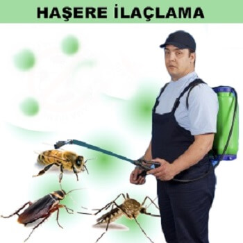 Güzelyurt Böcek İlaçlama
